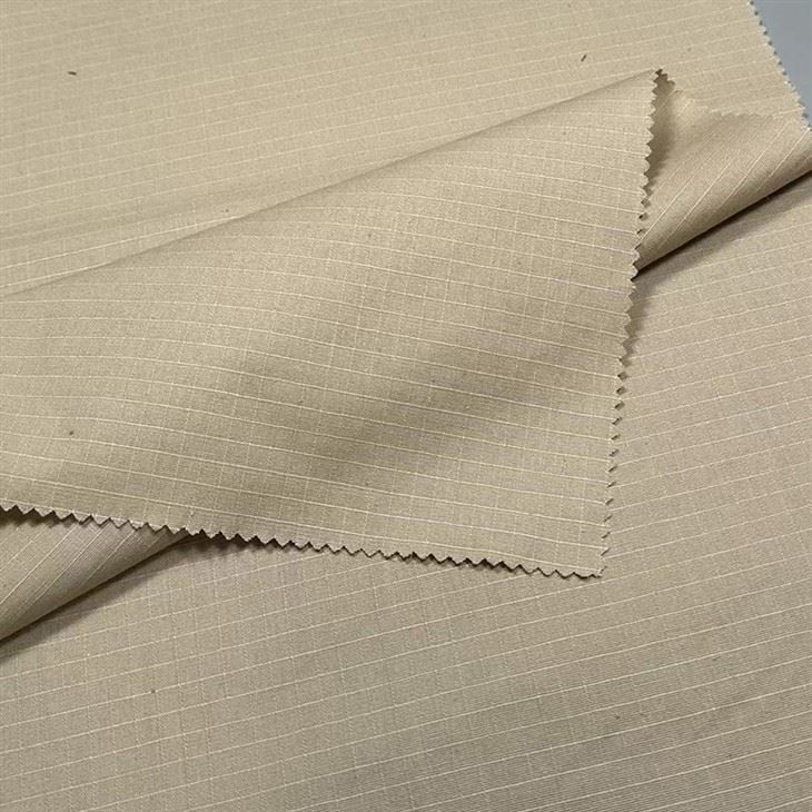 Cotton Warp Stretch Fabric